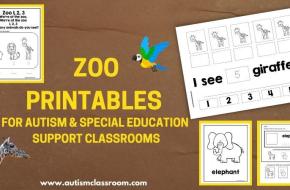 Exploring the Zoo: Tips for Taking Students with Special Needs