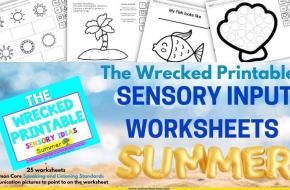 4 Preschool Summer Sensory Activities for Autism Support Classes (Elementary too!)