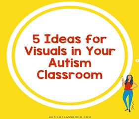 visuals in an autism class