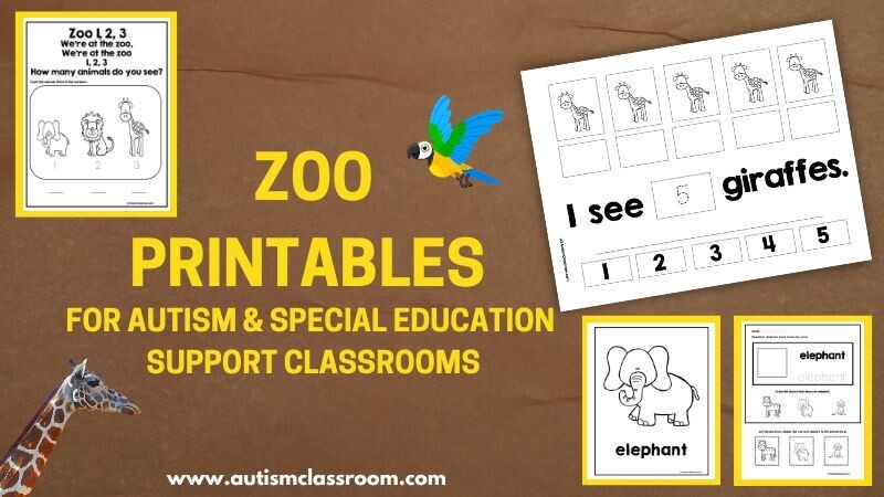 zoo trip special needs 1